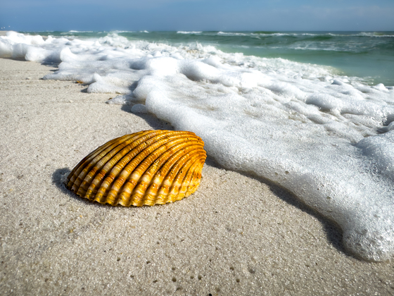 Gulf Island National Seashore