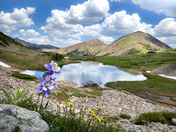 Arapaho National Forest