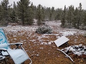 San Isabel National Forest