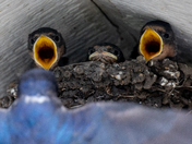 Rocky Mountain National Park