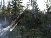 Lake Nanita, Lake Nanita Trail, Rocky Mountain National Park