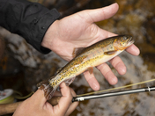 Lake Nanita, Lake Nanita Trail, Rocky Mountain National Park