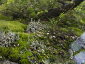 Lake Nanita, Lake Nanita Trail, Rocky Mountain National Park
