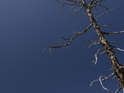 Lake Nanita, Lake Nanita Trail, Rocky Mountain National Park