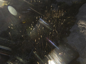 Lake Nanita, Lake Nanita Trail, Rocky Mountain National Park