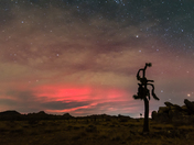 Joshua Tree National Park