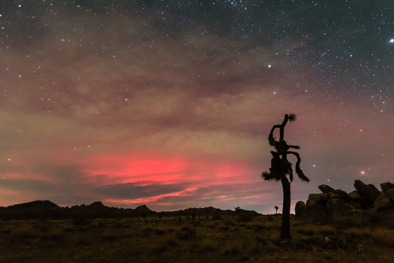 Joshua Tree National Park