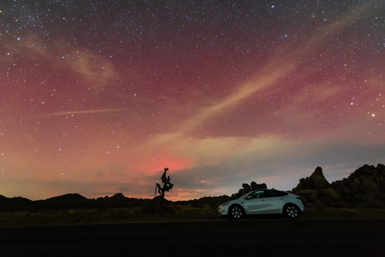 Joshua Tree National Park
