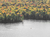 Big Trees, Little Kayak