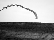 Flying Pattern of the Red Tailed Hawk