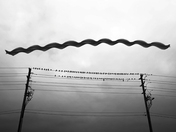 Flying pattern of the Seagull in the Streets