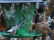 Sharing