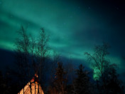 Aurora Night