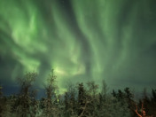 Aurora Night