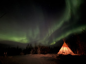 Aurora Night