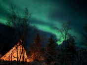 Aurora Night