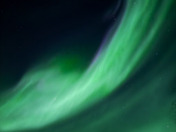 Aurora Night