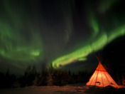 Aurora Night