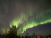 Aurora Night