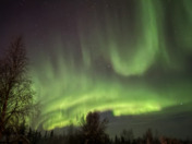 Aurora Night