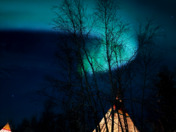Aurora Night