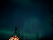 Aurora Night