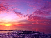 Freezing Falcon of Oro