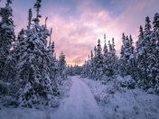 A walk in Winter Wonderland