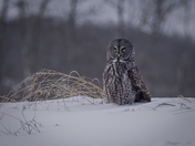 Keeping His Distance