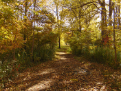 Waterworks Park St.Thomas ON.