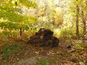 Waterworks Park St.Thomas ON.