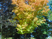 Waterworks Park St.Thomas ON.