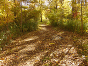 Waterworks Park St.Thomas ON.
