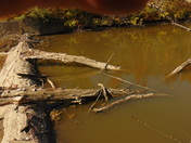 Waterworks Park St.Thomas ON.