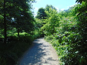 Waterworks Park St.Thomas ON.