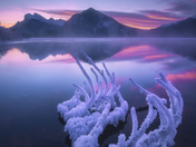 Whispers of Frost at Dawn