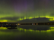 Reflections of Green 