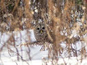 Did you see that catch?