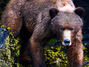 rethink your next move 