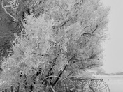 Winters' frozen masterpiece 