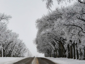 Winters' frozen masterpiece 