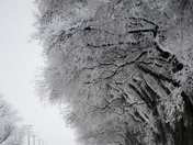 Winters' frozen masterpiece 