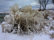 Ice Sculpture