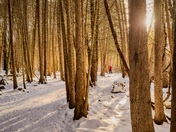 X-Country Golden Hour