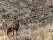 Where Are You Going?