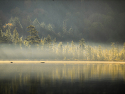 Misty Algonquin Morning