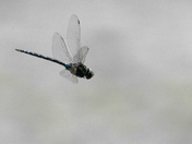 A personal achievement