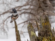 Ready For My Closeup