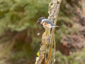 I Didn't Want That Anyways