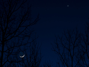 Old Moon in the New Moon's Arms